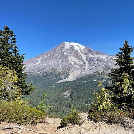 אשפורד New Modern Cabin! 5Mi To Mt Rainier National Park! Hot Tub & Wifi מראה חיצוני תמונה