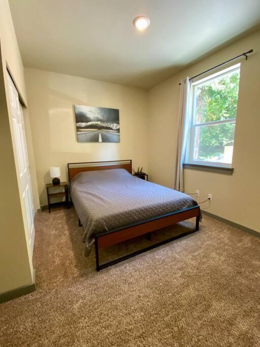 אשפורד New Modern Cabin! 5Mi To Mt Rainier National Park! Hot Tub & Wifi מראה חיצוני תמונה