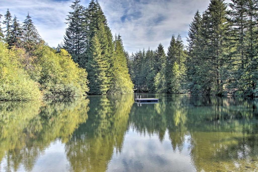 אשפורד New Modern Cabin! 5Mi To Mt Rainier National Park! Hot Tub & Wifi מראה חיצוני תמונה