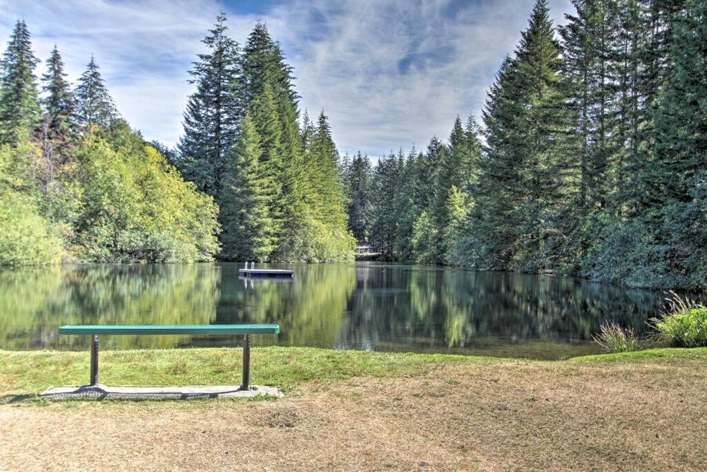 אשפורד New Modern Cabin! 5Mi To Mt Rainier National Park! Hot Tub & Wifi מראה חיצוני תמונה