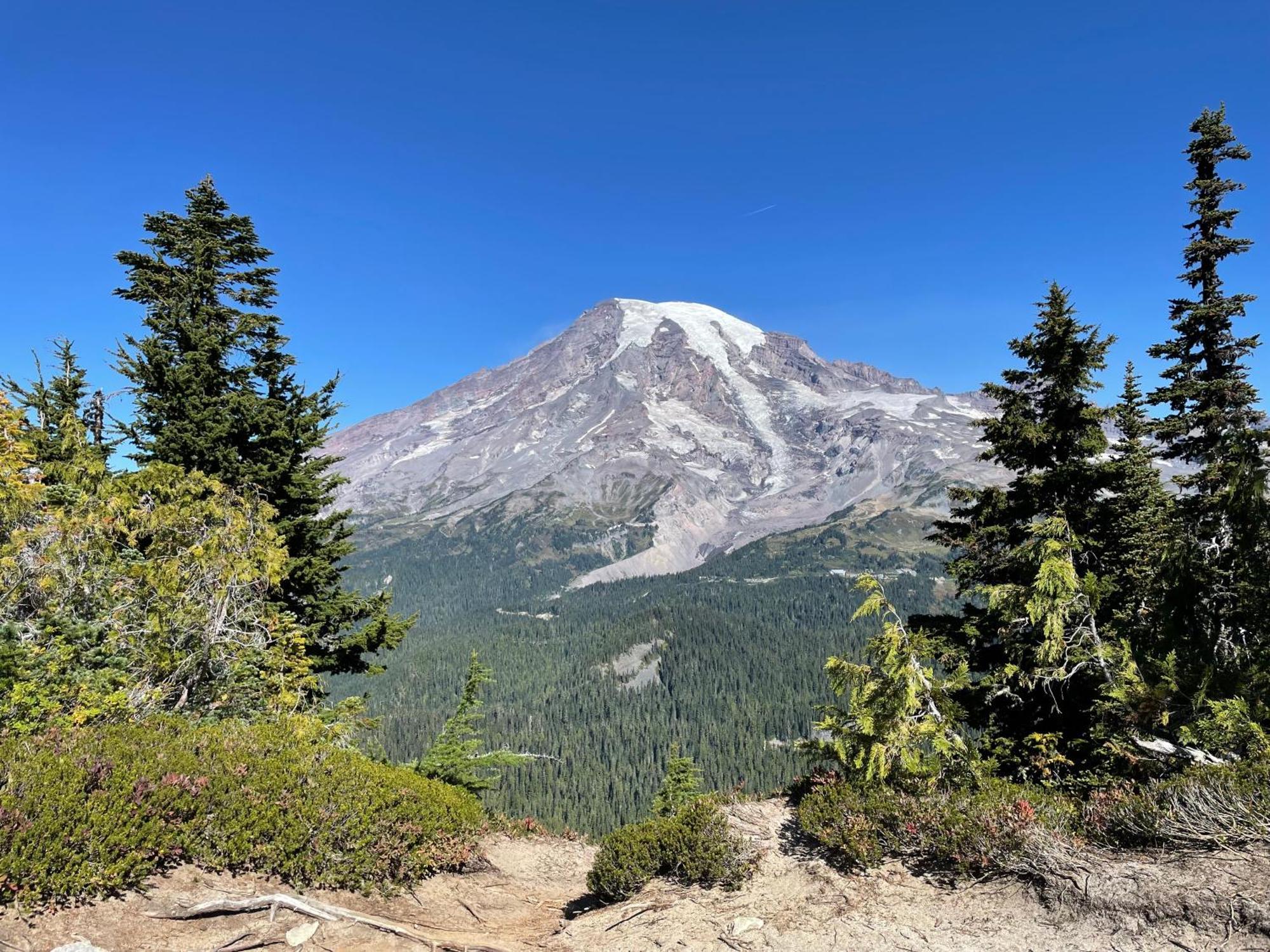 אשפורד New Modern Cabin! 5Mi To Mt Rainier National Park! Hot Tub & Wifi מראה חיצוני תמונה